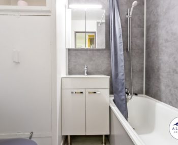 location-airbnb-appartement-etoile-des-neiges-manigod-04